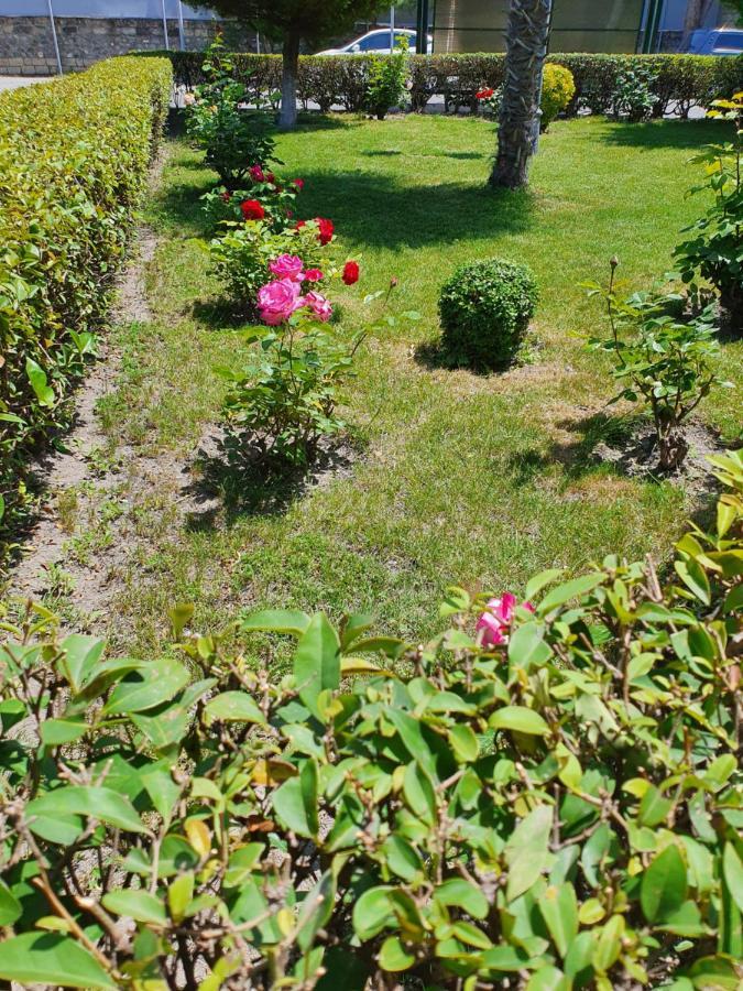 Sheki Avtovagzal Motel Zewnętrze zdjęcie